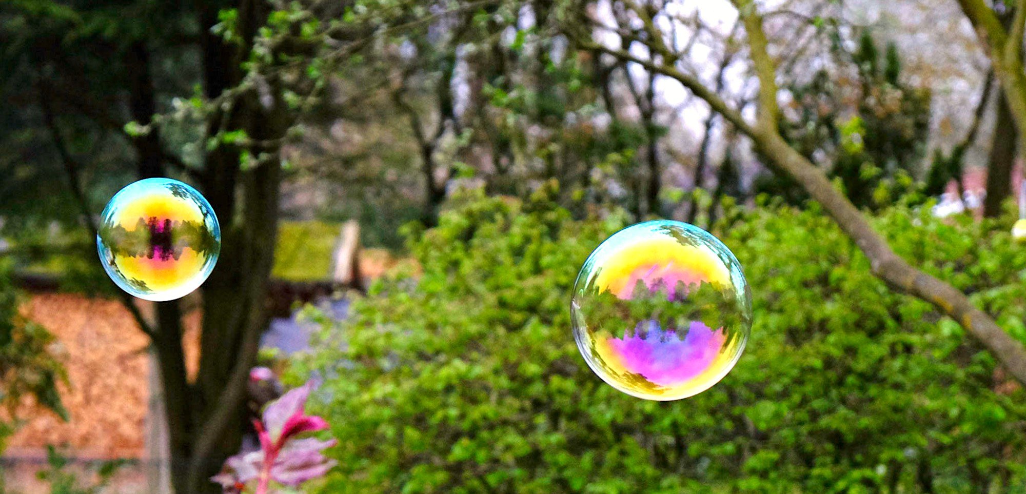Schönes Bild von bunten Seifenblasen draußen im Grünen